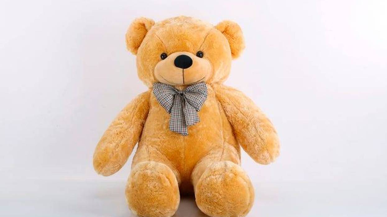 A teddy bear doll isolated on a white background