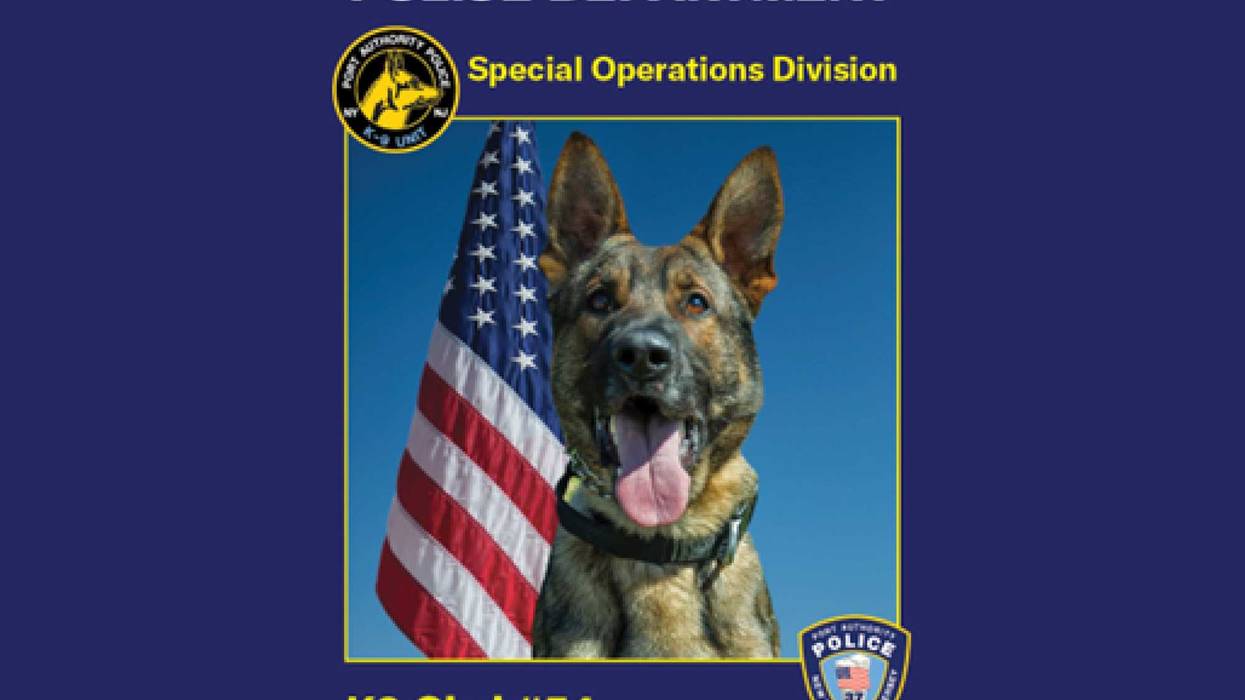 A trading card of K9 Cirri.