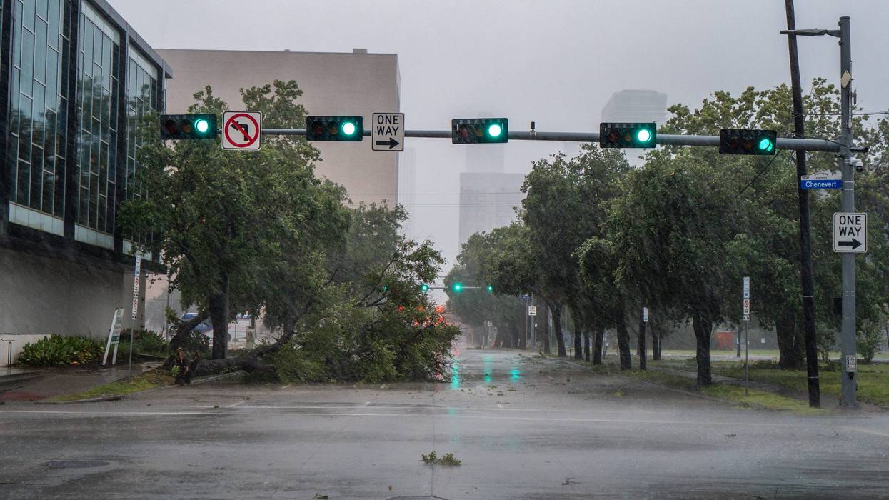 A tree is toppled over by heavy winds during Hurricane Beryl on July 8, 2024, in Houston, Texas. Tropical Storm Beryl developed into a Category 1 hurricane as it hit the Texas coast late last night.