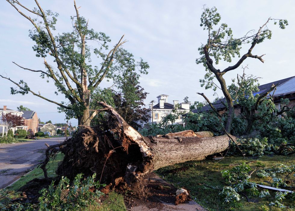 A tree was toppled over by severe winds in Rome on Tuesday