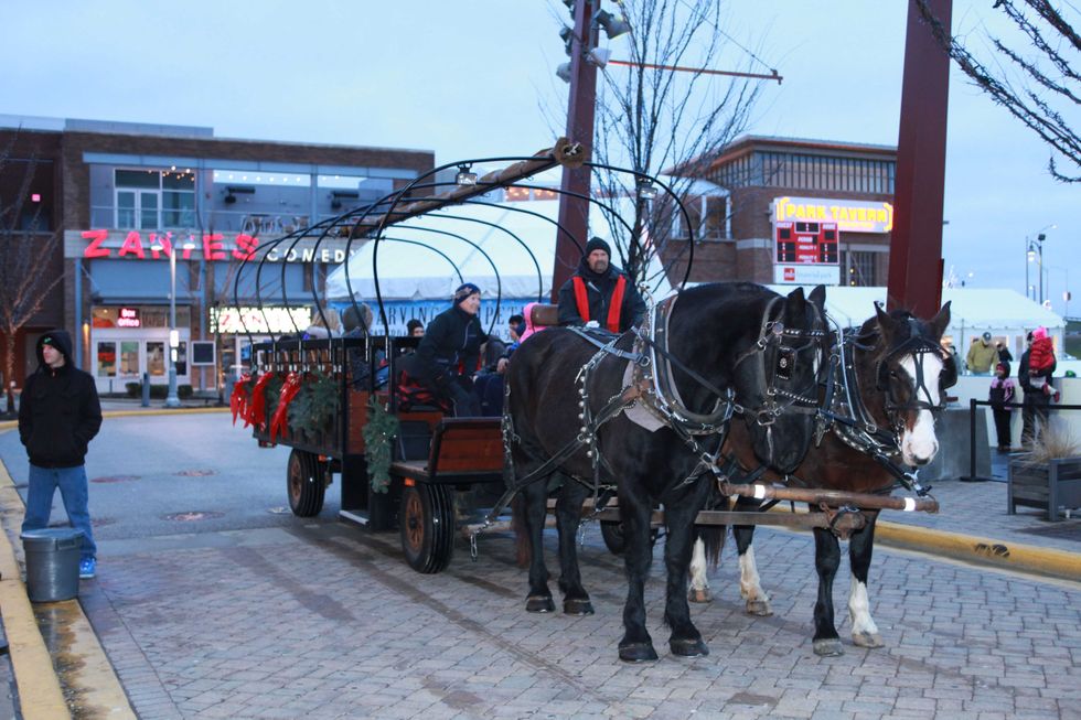 A variety of family-friendly festivities will be available at "Light Up The Park" from 2 p.m. to 6 p.m. on Friday, Nov. 26, including visits with Santa and Mrs. Claus, free horse-drawn sleigh rides, carolers, and ice sculpting viewing.