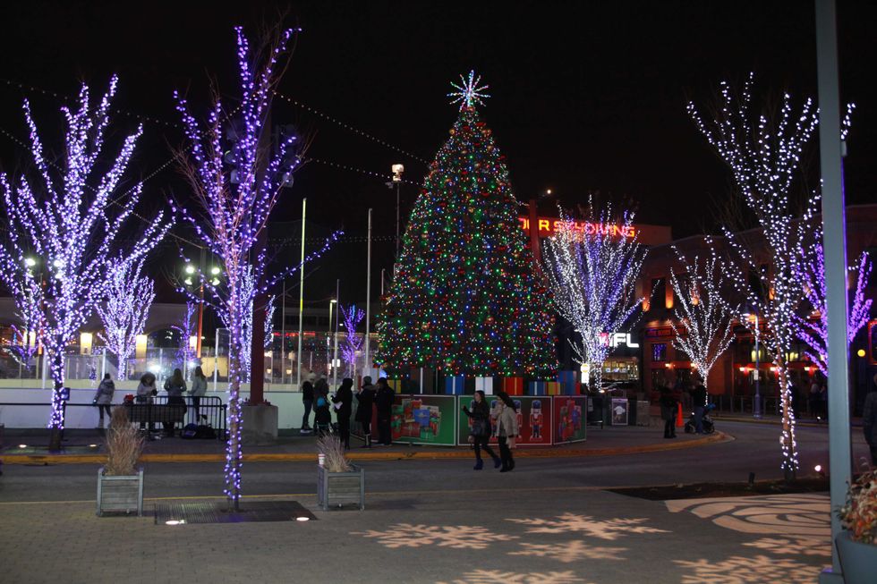 A variety of family-friendly festivities will be available at "Light Up The Park" from 2 p.m. to 6 p.m. on Friday, Nov. 26, including visits with Santa and Mrs. Claus, free horse-drawn sleigh rides, carolers, and ice sculpting viewing.