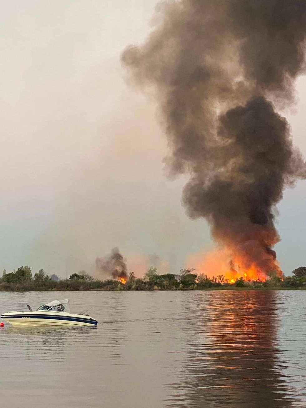 A vegetation fire has ignited on an island near the East Bay, sending large plumes of black smoke into the sky.