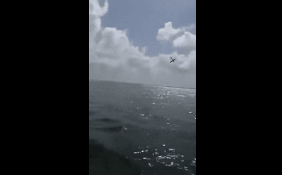 A video taken by the family involved in the gender announcement showed the small plane going into the water just moments after spraying a pink cloud into the sky.