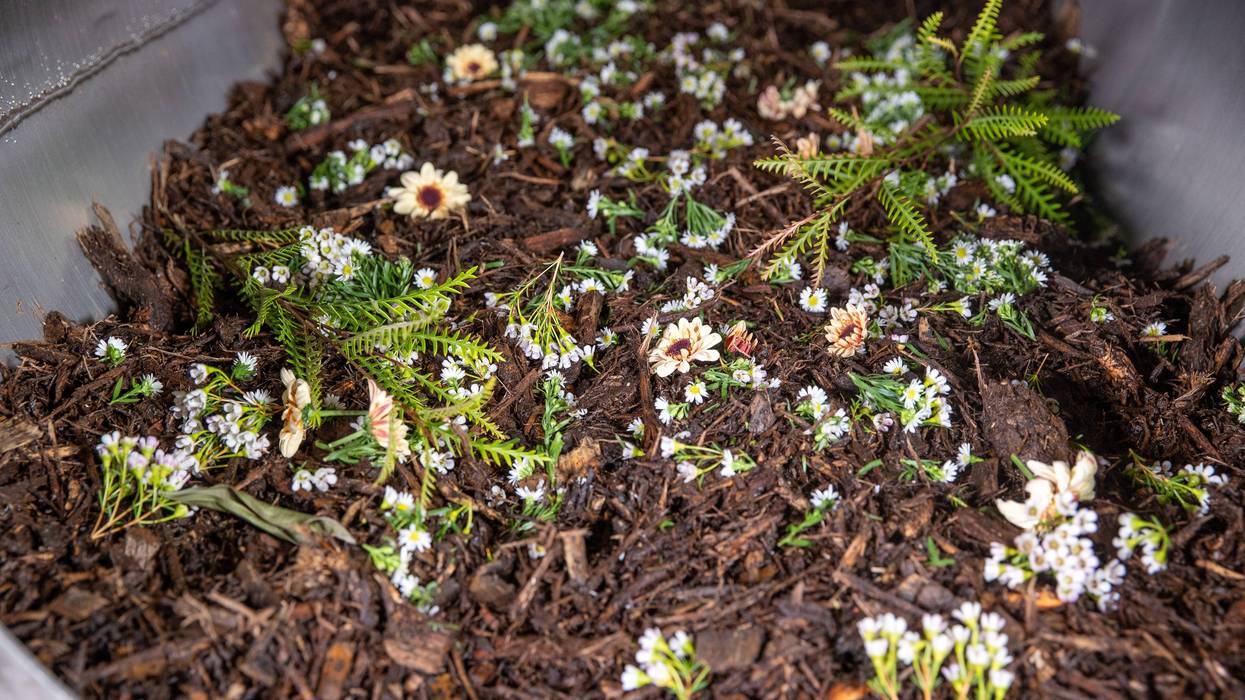 A view inside a human composting vessel and the materials used during the process at Earth Funeral on Dec. 7, 2023, in Auburn, Washington.