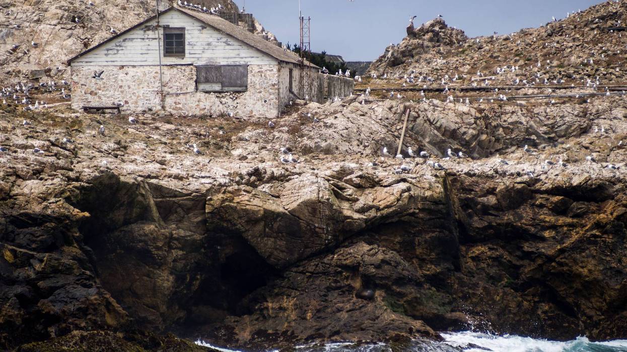 A view of a weather-beaten building on the Farallon Islands off the coast of California.
