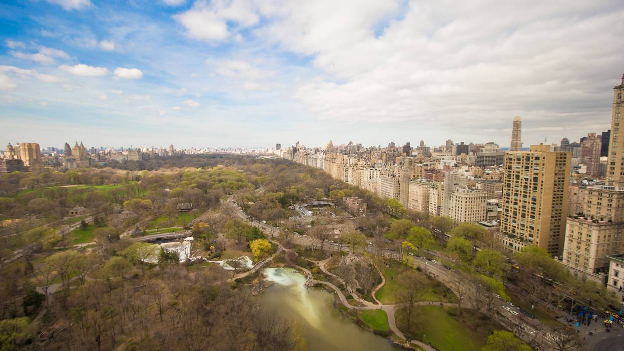 Man in custody after bystanders thwart Central Park assault