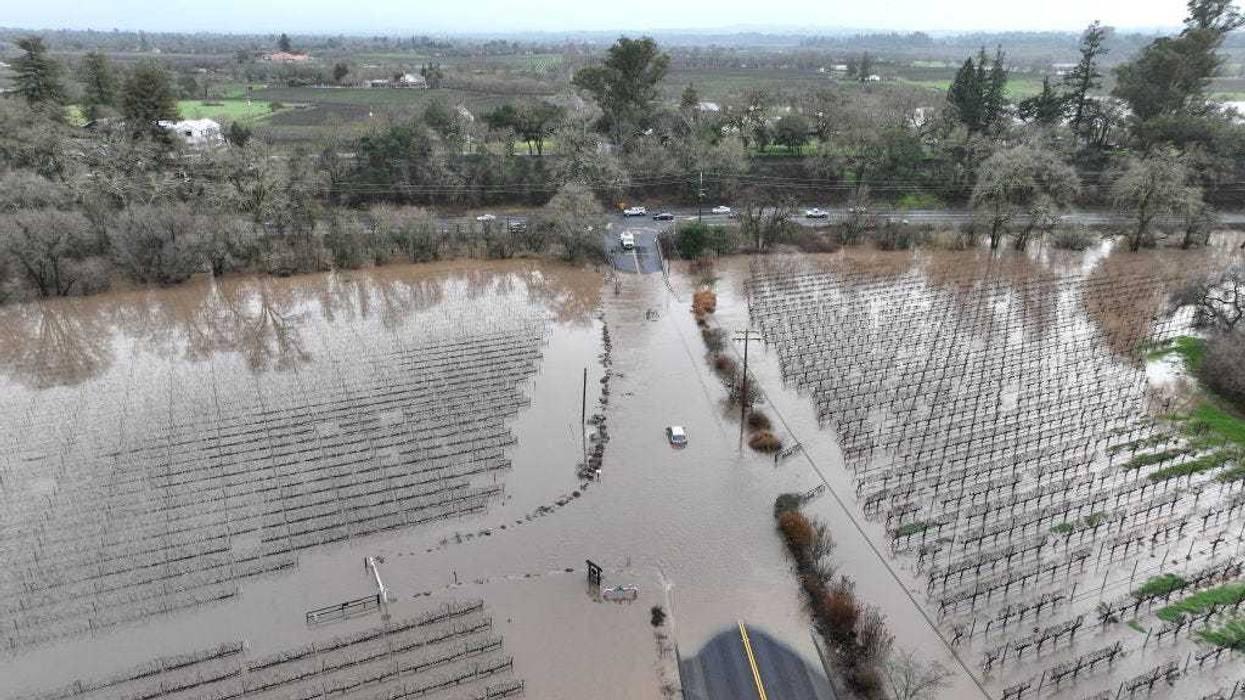 A vineyard is submerged in floodwater after heavy rain moved through the area on January 9 in Windsor, California. The storms have toppled trees, flooded roads and cut power to tens of thousands of residents.