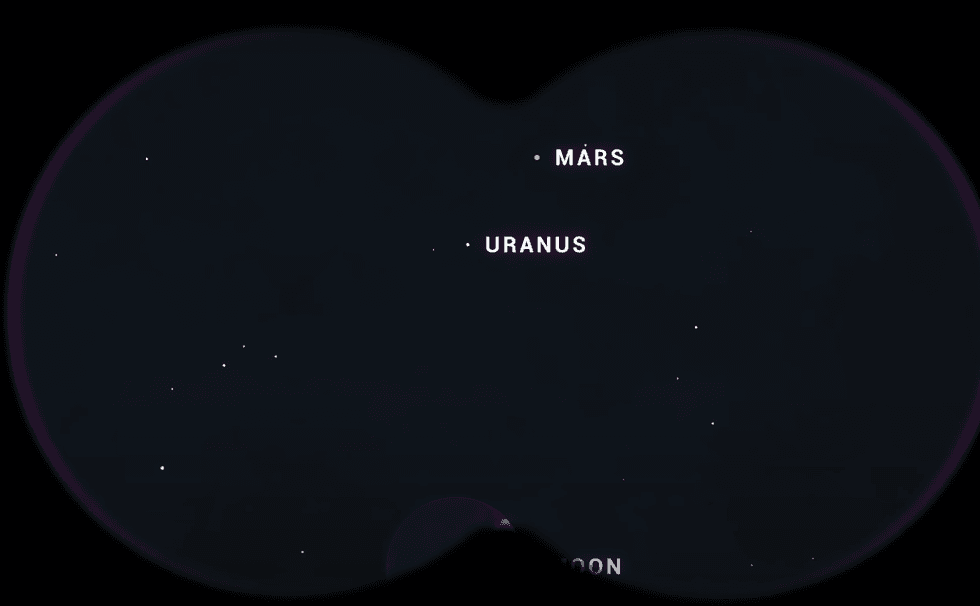 A visual of what you