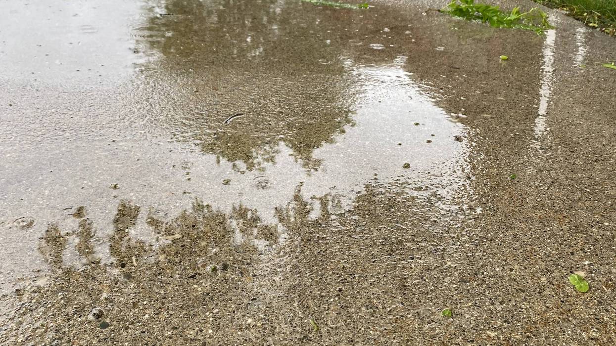 A wet sidewalk in Southfield