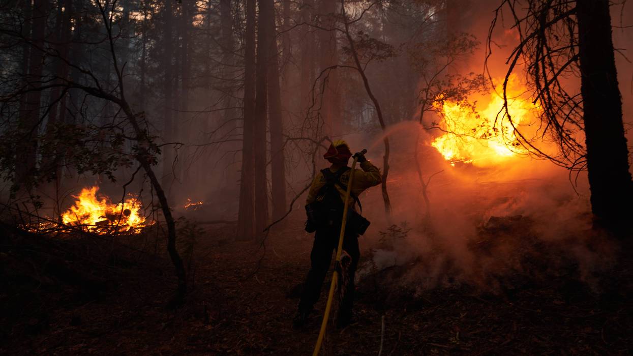 A wildfire hot shot crew battles flames as the Dixie Fire pushes through the Genesee Valley on August 21, 2021 in Genesee, California