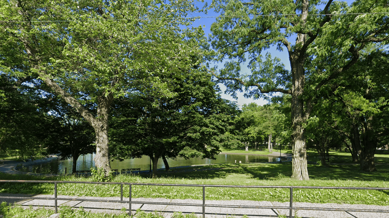 Decomposing body found floating in pond at Queens park: cops