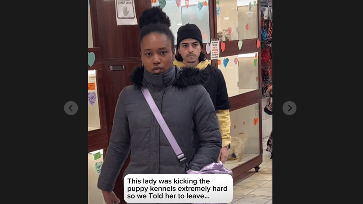 A woman was caught on camera slapping a bystander across the face after allegedly kicking kennels containing puppies in the Citipups NYC Chelsea location.