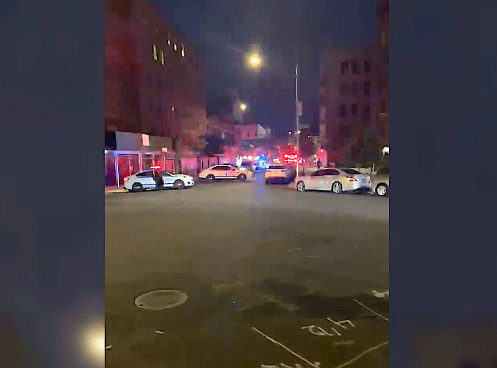 A woman was shot as she walked her dog—one of two shootings in the Charlotte Gardens section of the Bronx overnight