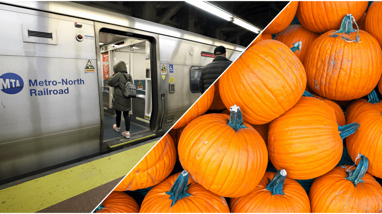 aA Bronx woman was sentenced to two years in prison for a 2021 pumpkin attack on a Metro-North conductor