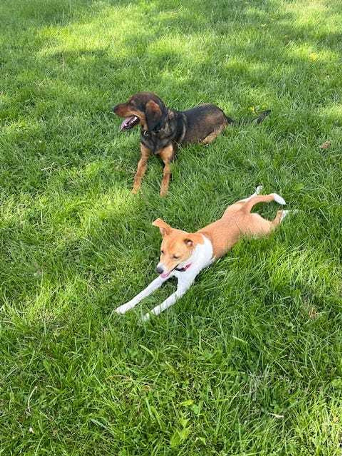 Abby Strawser and friend
