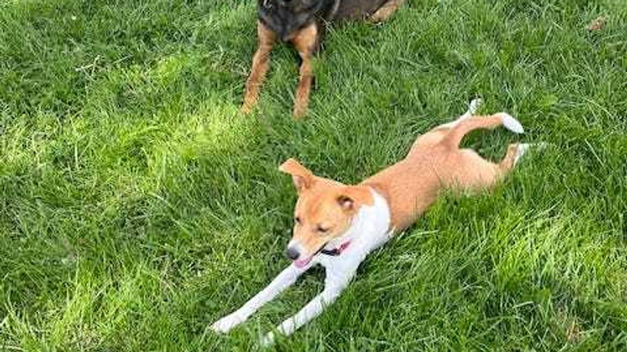 Abby Strawser and friend