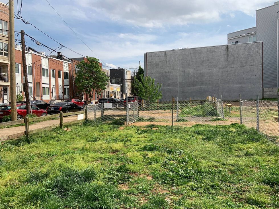 About 50 Francisville neighbors in North Philadelphia claimed an unused, overgrown, trash-filled city-owned lot a couple of months ago and turned it into a park.