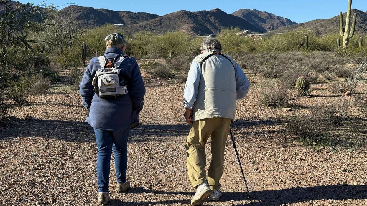 Accessible Birdwatching-Disabled