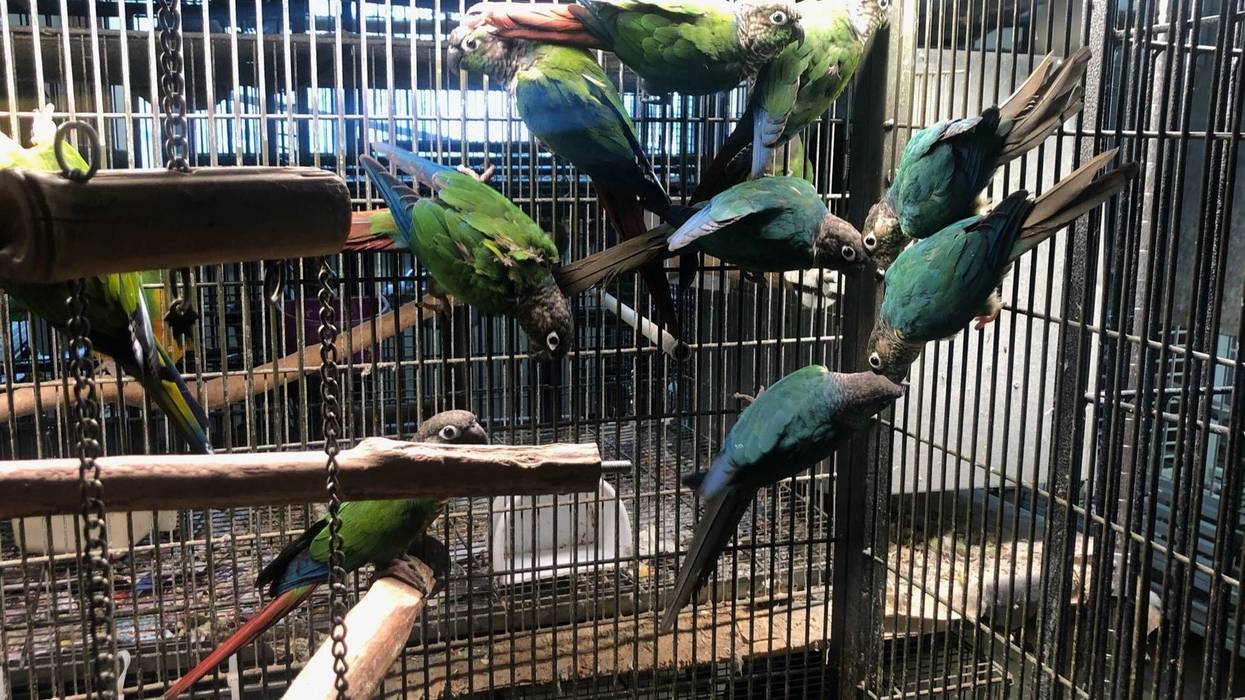 ACCT Philly seizes exotic animals that belonged to man found dead in Northeast Philly