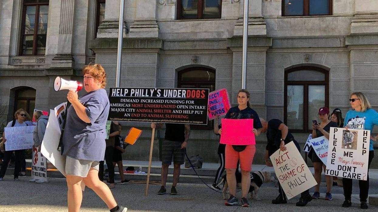 Activists gathered outside Philadelphia City Hall Wednesday night to demand more funding for the city's animal intake center, Animal Care and Control Team.