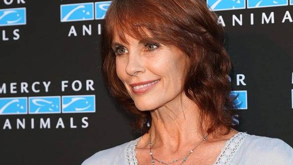 Actress Alexandra Paul attends the Mercy For Animals Presents Hidden Heroes Gala 2018 at Vibiana on September 15, 2018 in Los Angeles, California. (Photo by Paul Archuleta/Getty Images)