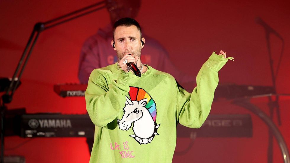 Adam Levine was 'startled' by fan on stage, thinking it was anything more 'makes my stomach turn'