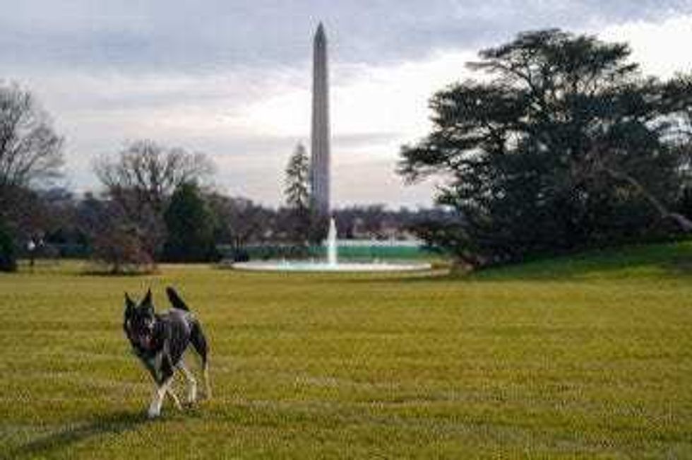 Adam Schultz / Official White House photo