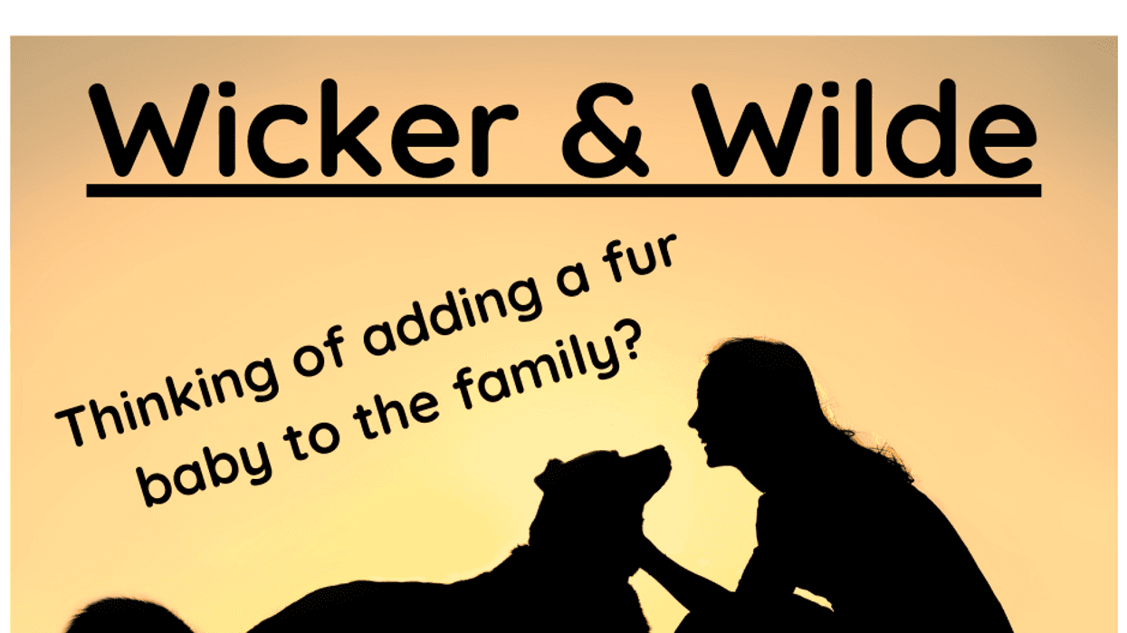 Adding dog to family