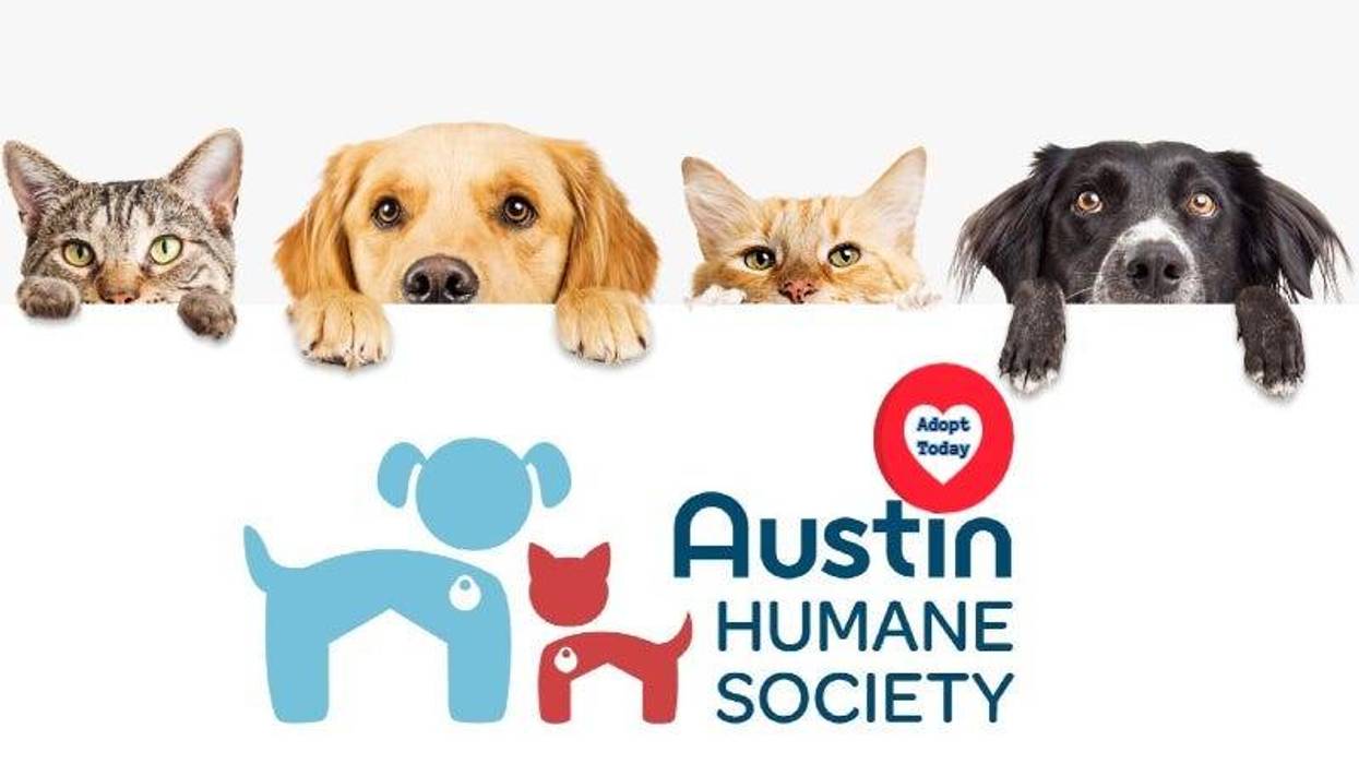 adogslifephoto / Getty Images