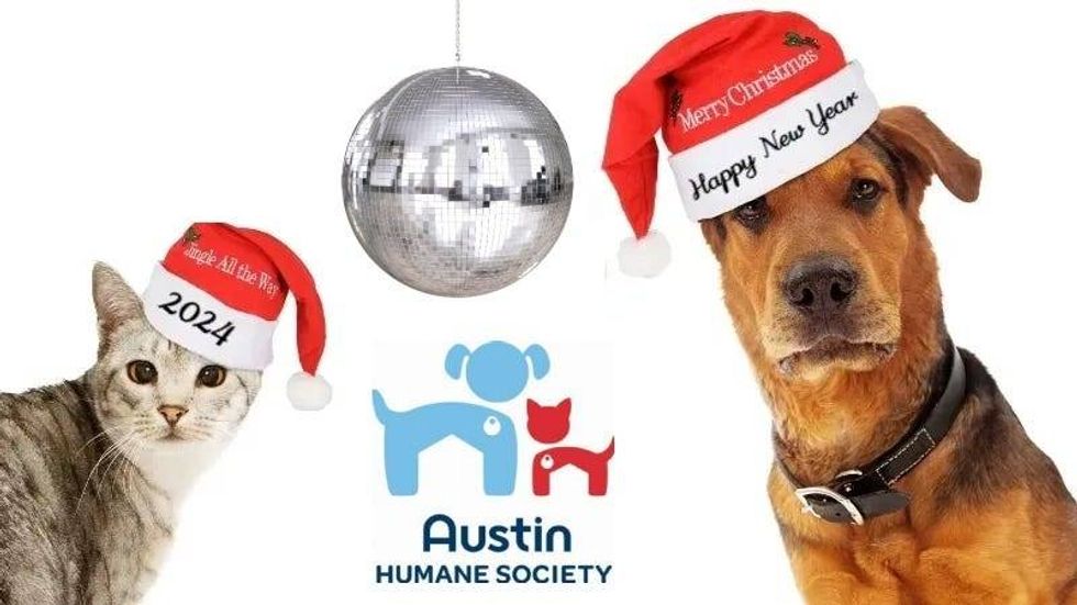 adogslifephotography / Getty Images