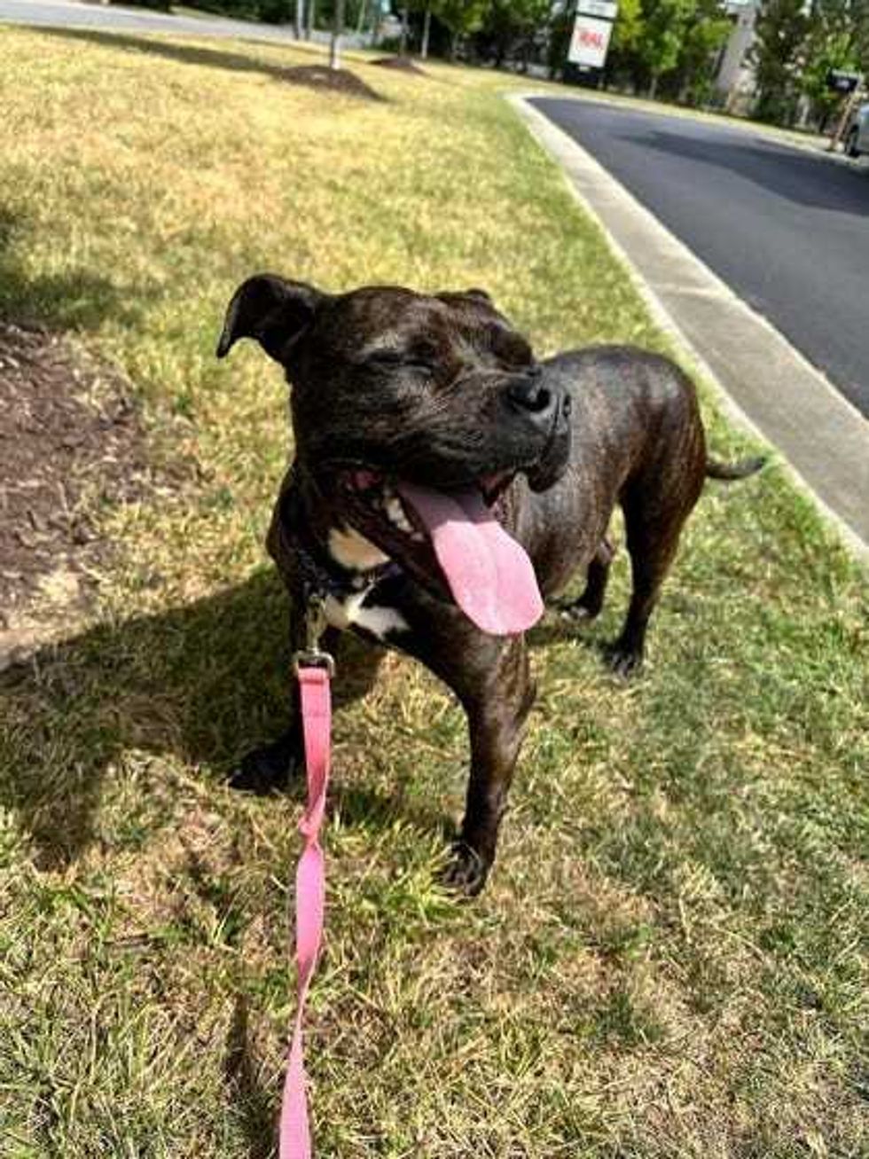 Adopt Adrianne