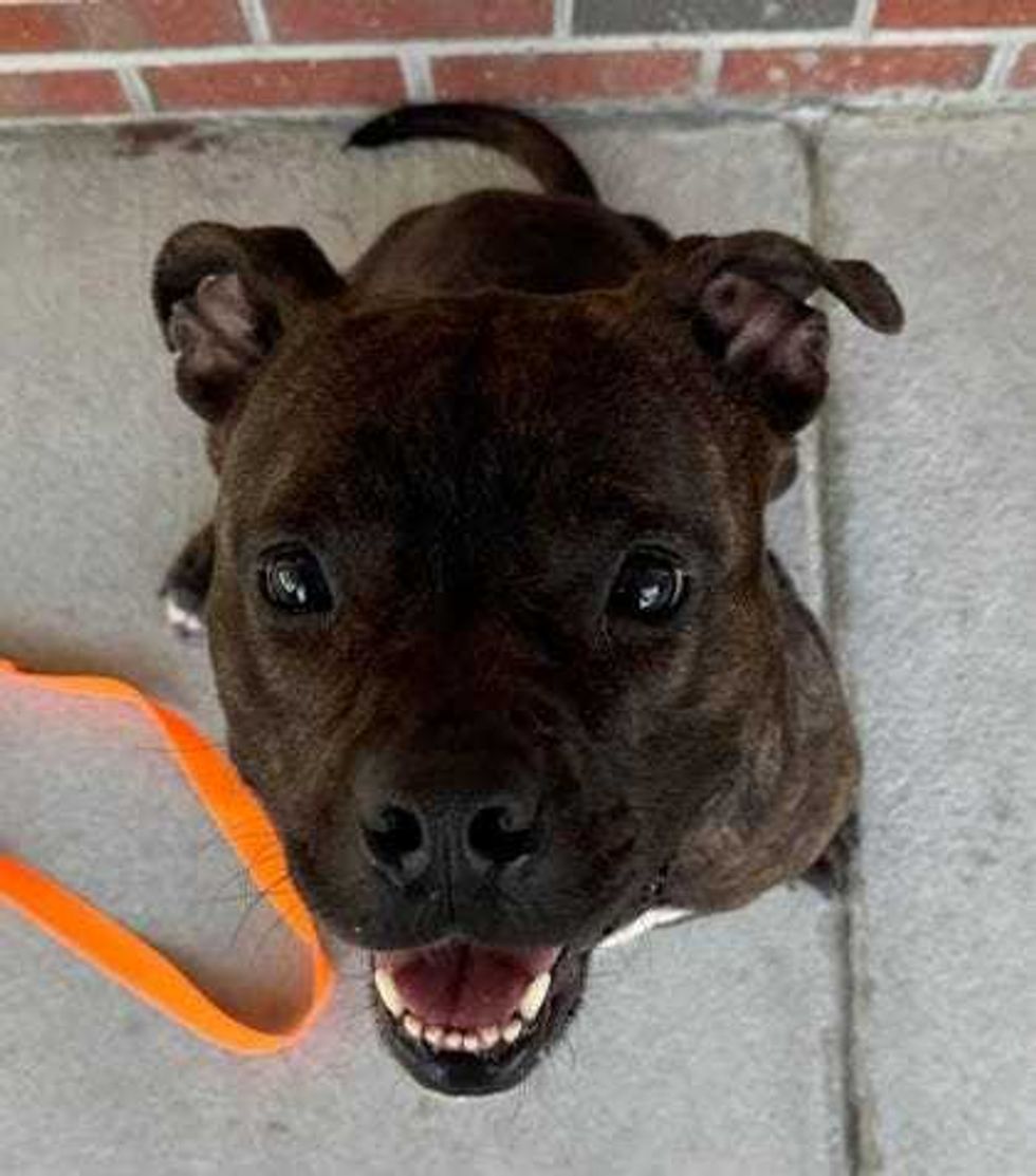 Adopt Adrianne
