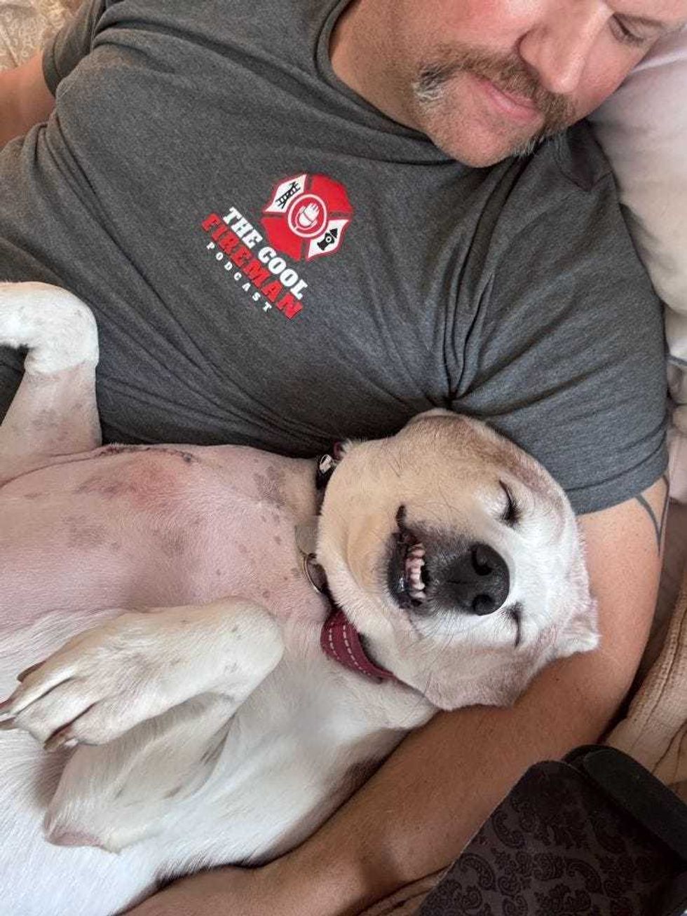 Adopt Don