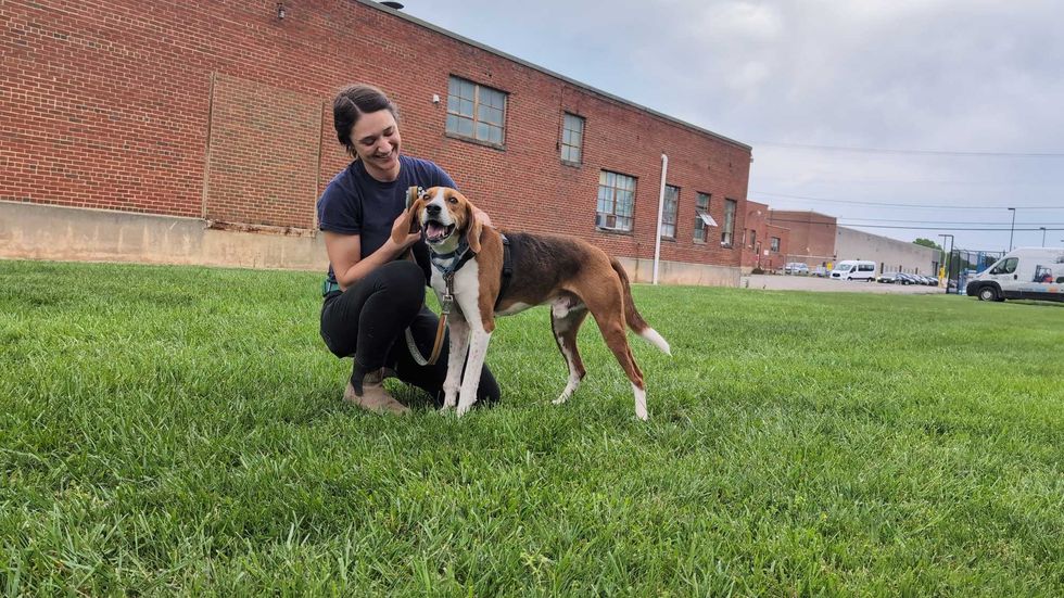 Adopt Don