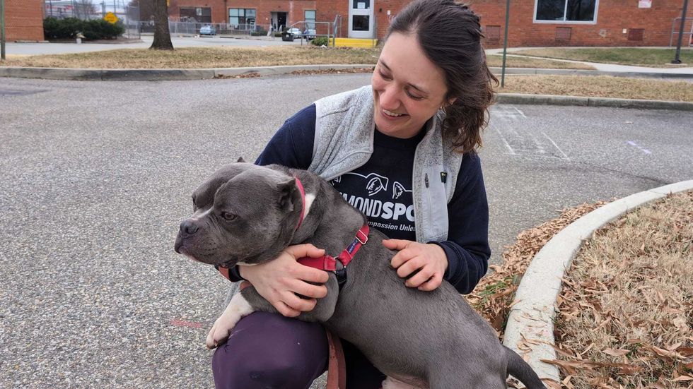 Adopt Don’t Shop
