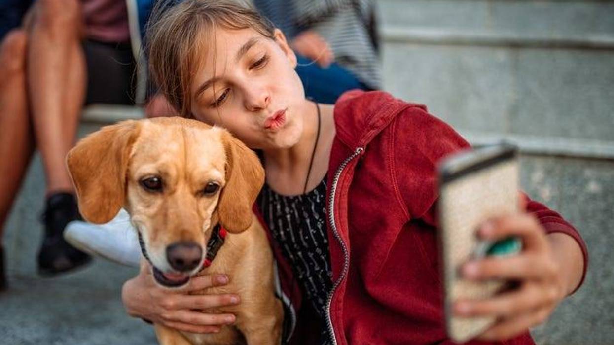 adopted dog