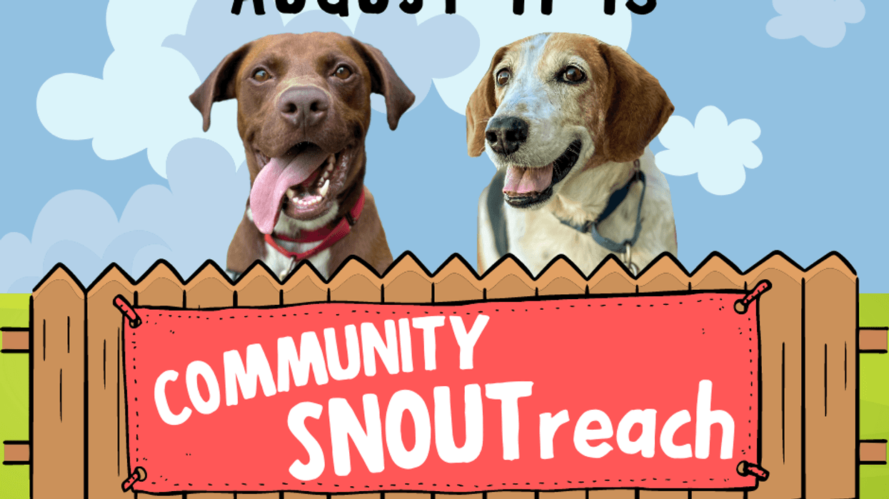 Adoption Event Graphic