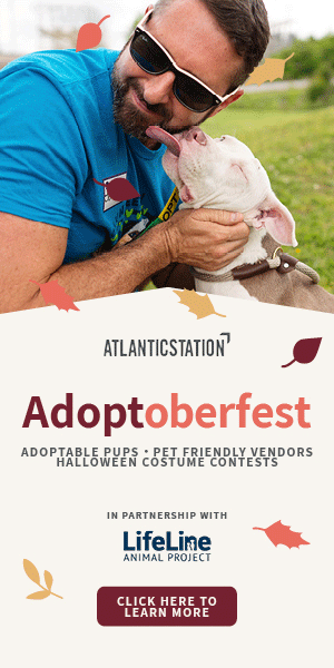 Adoptober fest