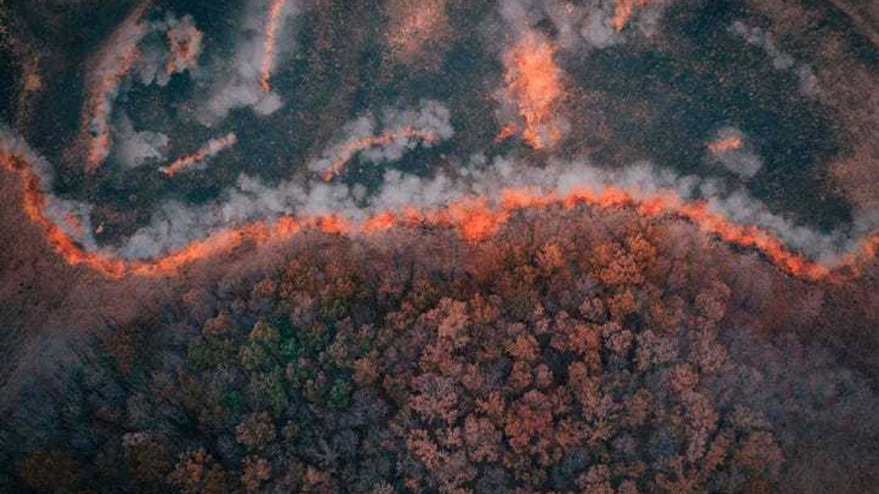 Aerial shot of a wildfire.