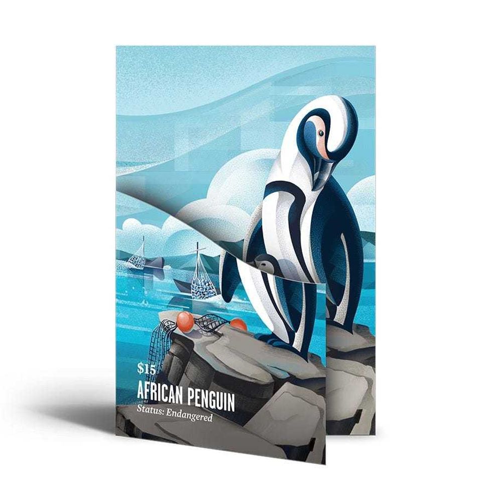 African penguin pass