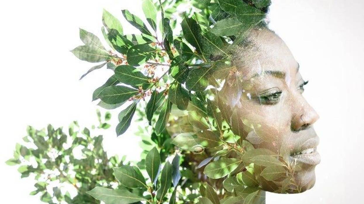 African woman Leaves Victor_Tongdee Getty images
