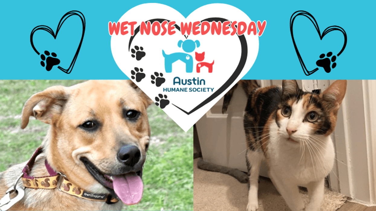 AHS 1/22/25 Delta Cashew / Canva Pro