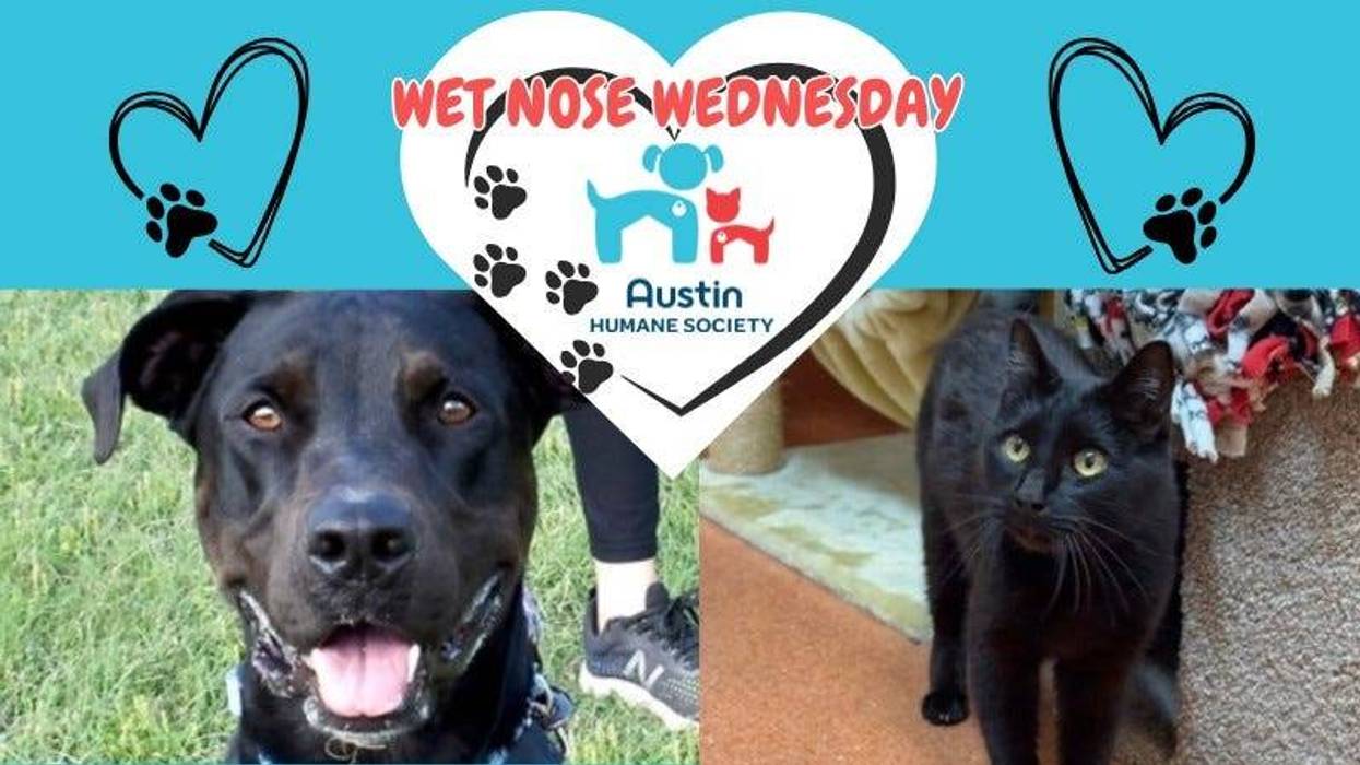 AHS Chef Boyardee & Java 1/15/25