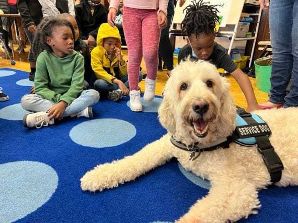 Aidan Goldendoodle