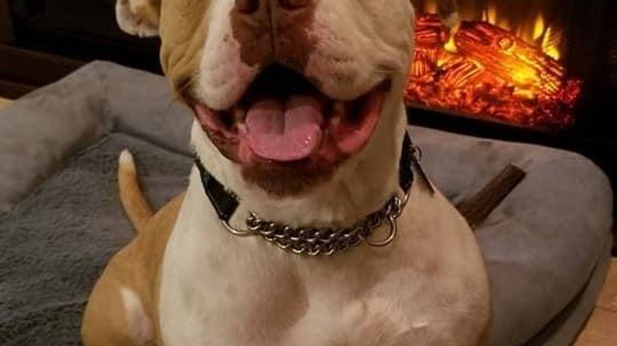 al