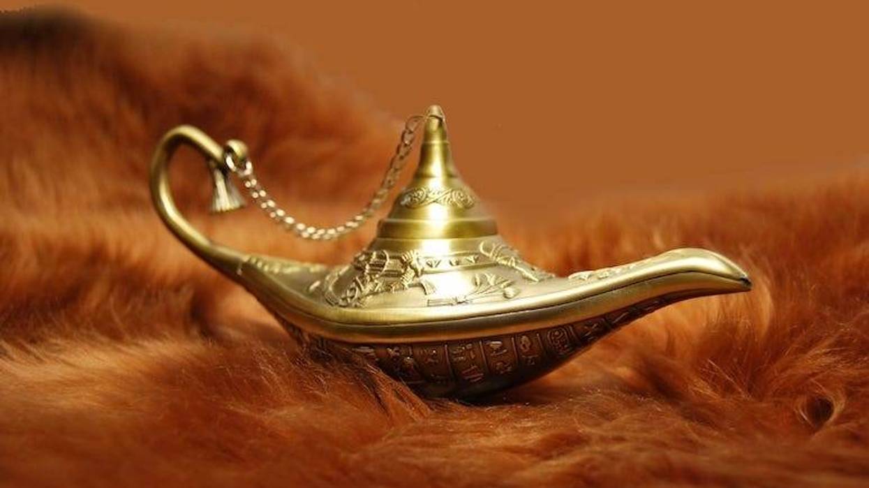 Aladdin Lamp, Brown Fur