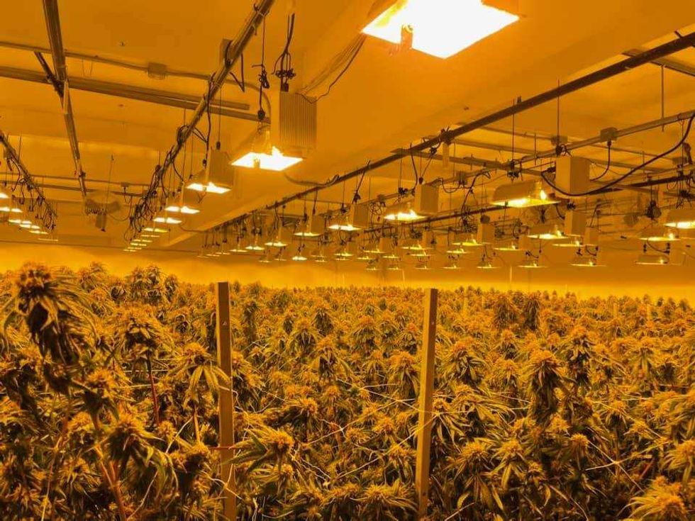 Alameda County Sheriff