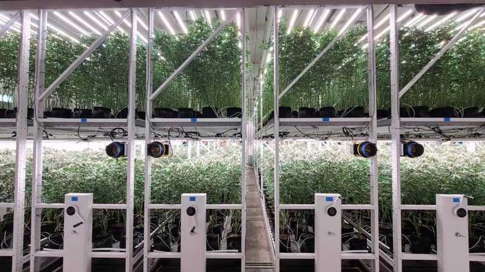 Alameda County Sheriff