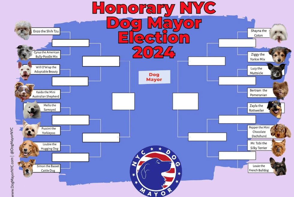 ALCALDE CANINO DE NYC